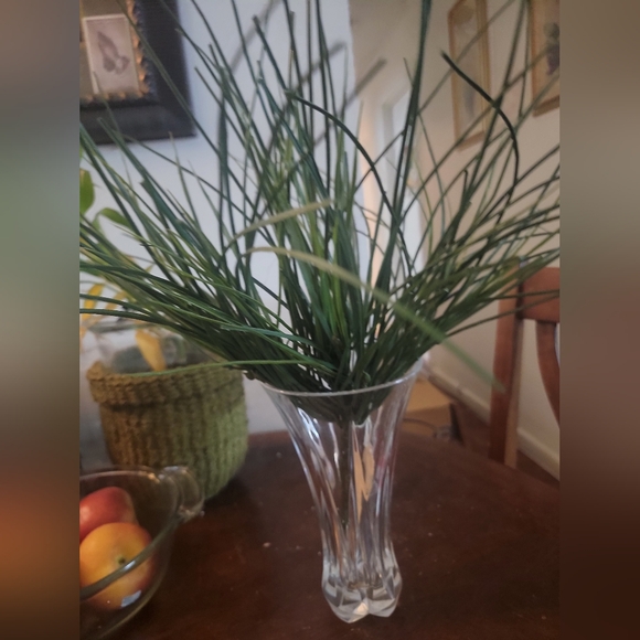 Bear Grass Bush 23". each - Picture 2 of 6